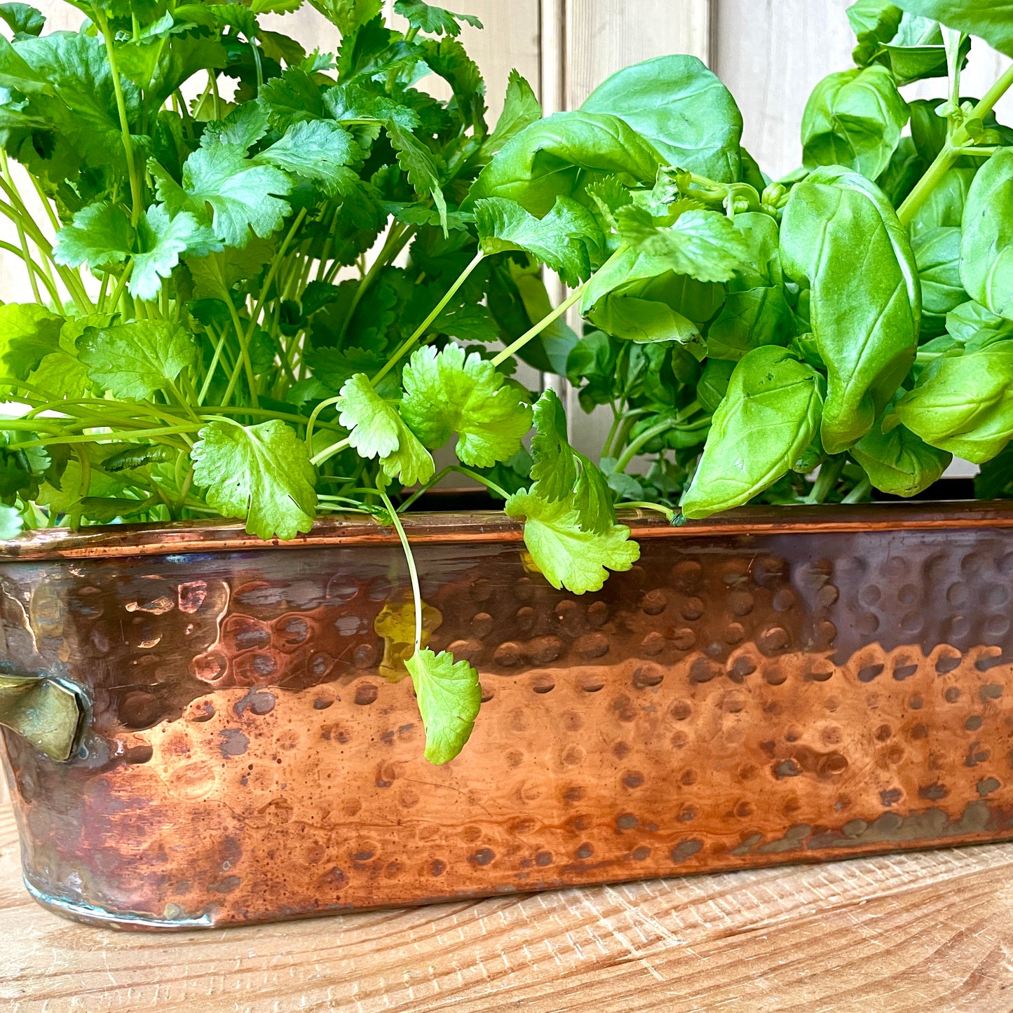 Antique French Copper trough