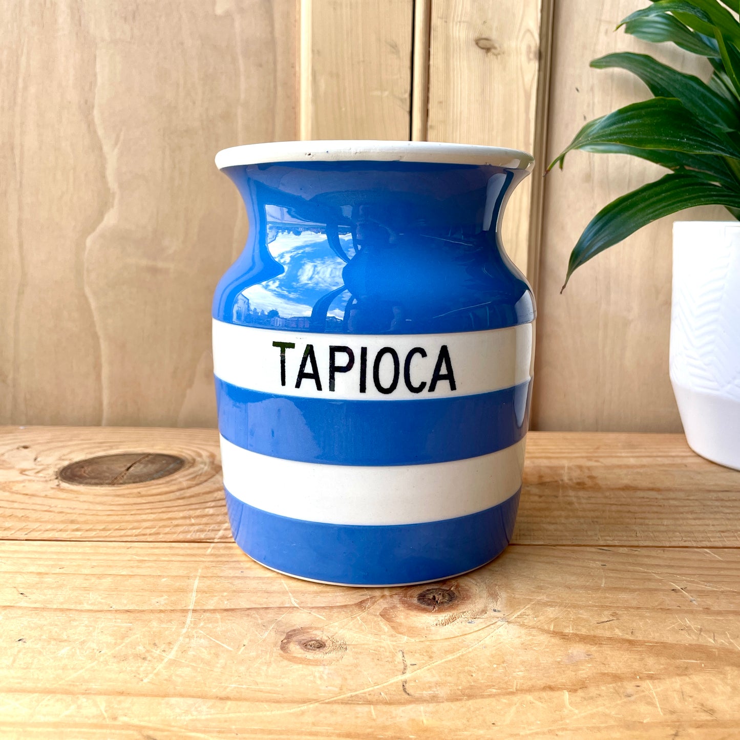 TG Green Blue and White Tapioca Canister