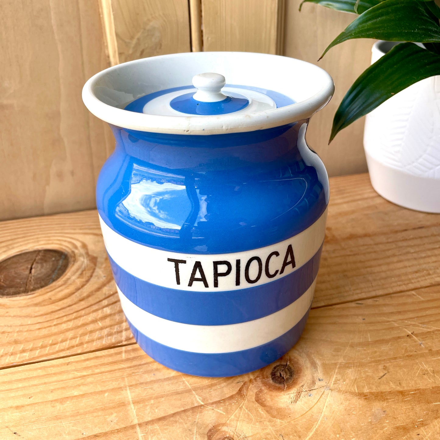 TG Green Blue and White Tapioca Canister