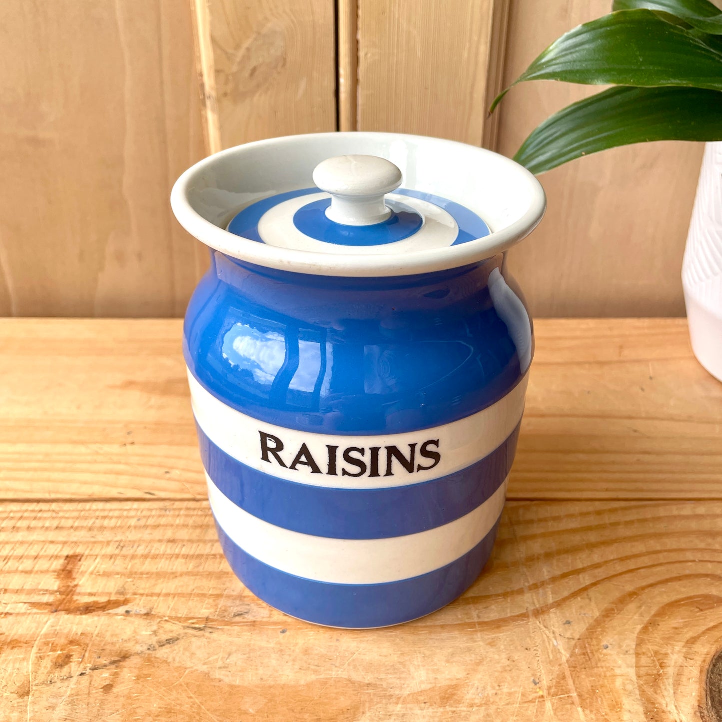 Vintage TG Green Blue and White 1930s Raisins Canister