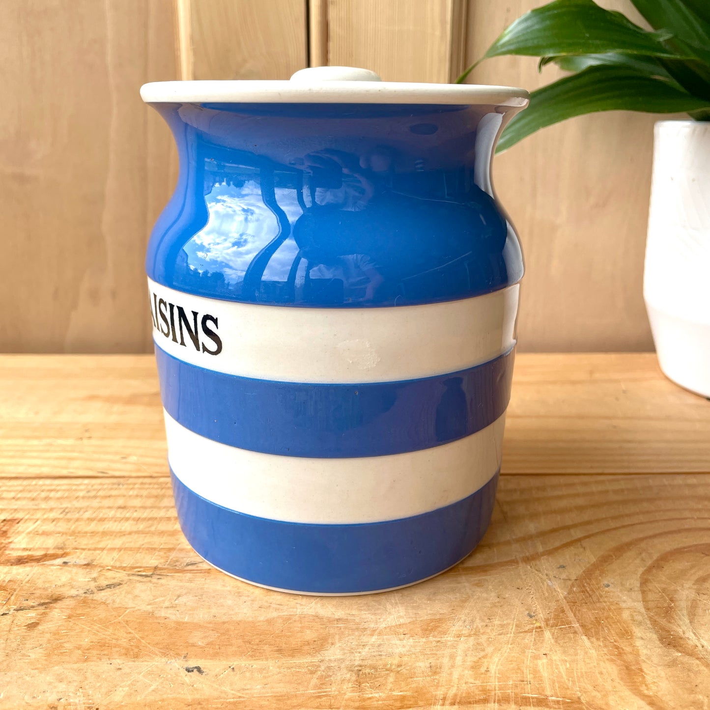 Vintage TG Green Blue and White 1930s Raisins Canister