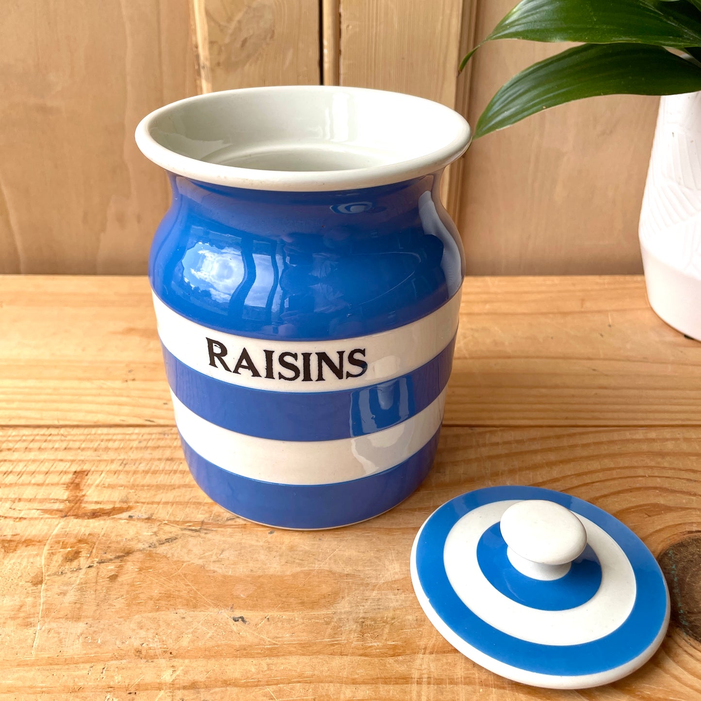 Vintage TG Green Blue and White 1930s Raisins Canister