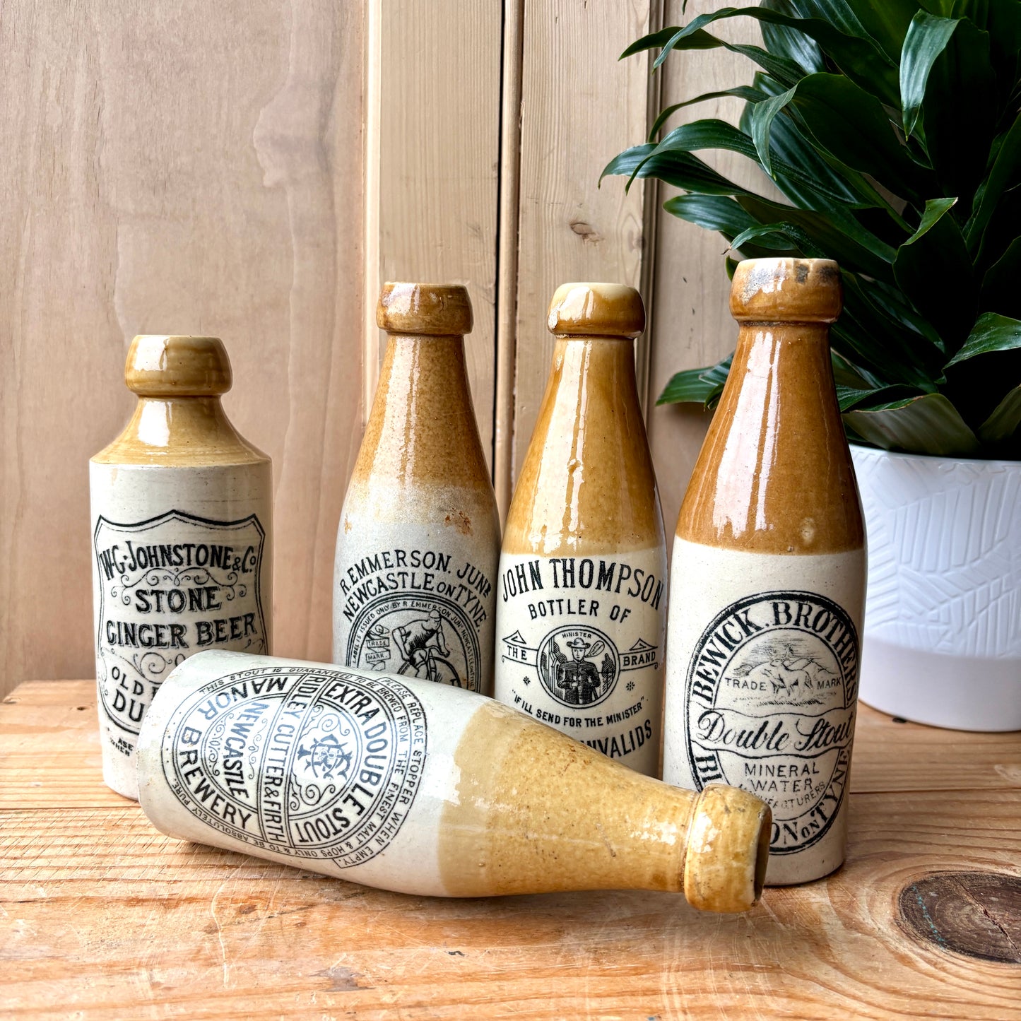 Antique Stone Ginger beer bottles