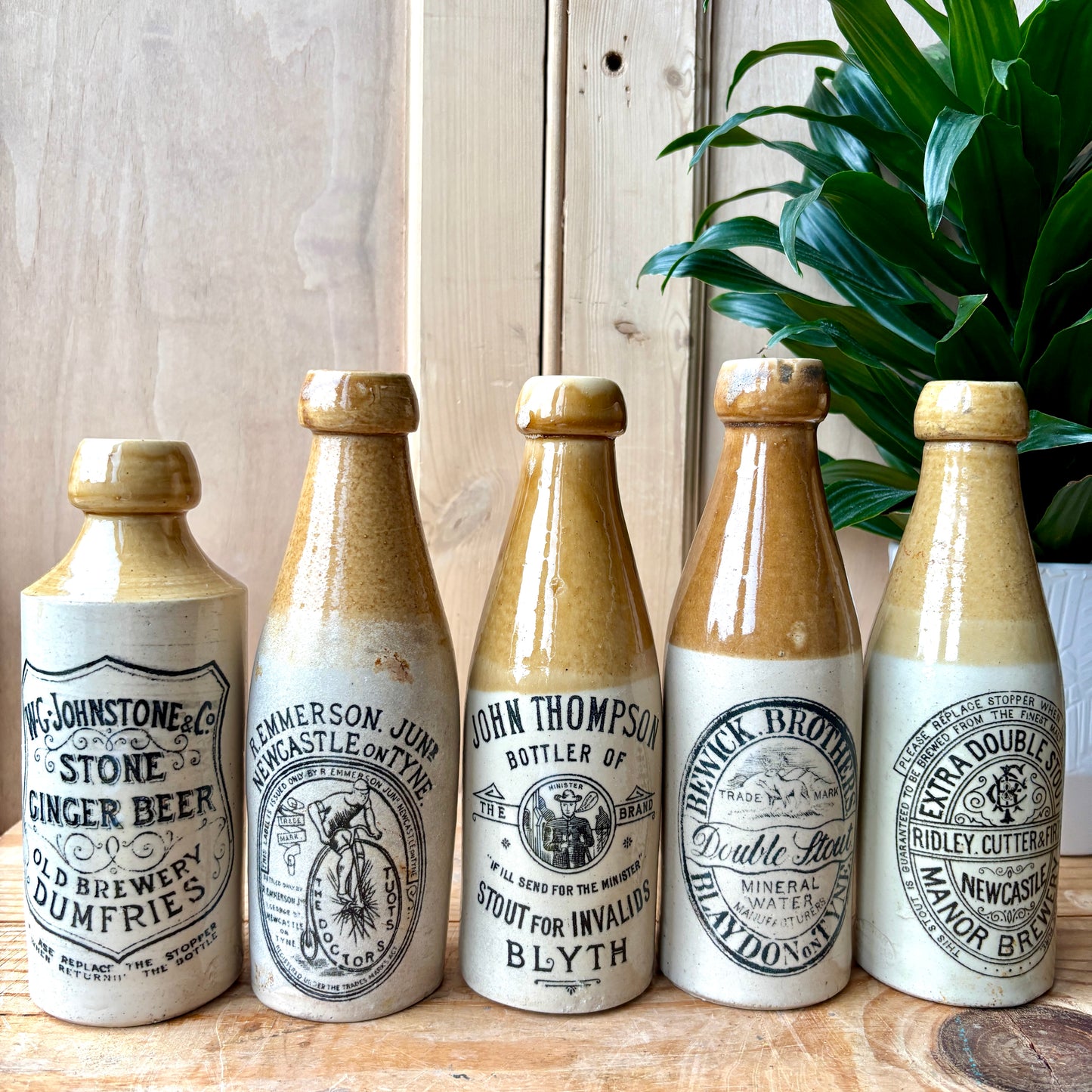 Antique Stone Ginger beer bottles