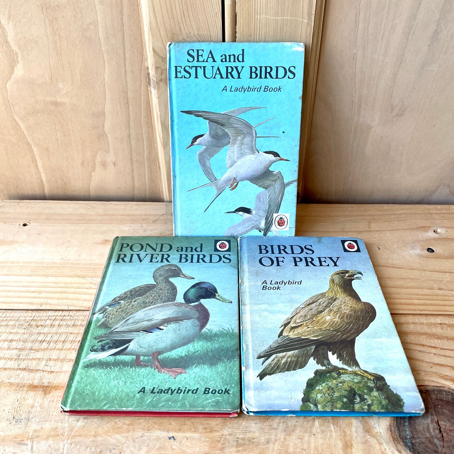 Vintage Ladybird Books Series 536 - Set of Six books Birds and Butterflies