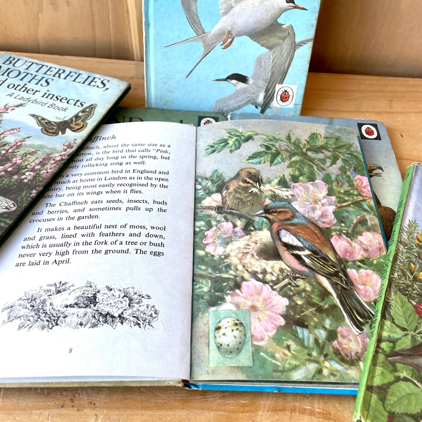 Vintage Ladybird Books Series 536 - Set of Six books Birds and Butterflies