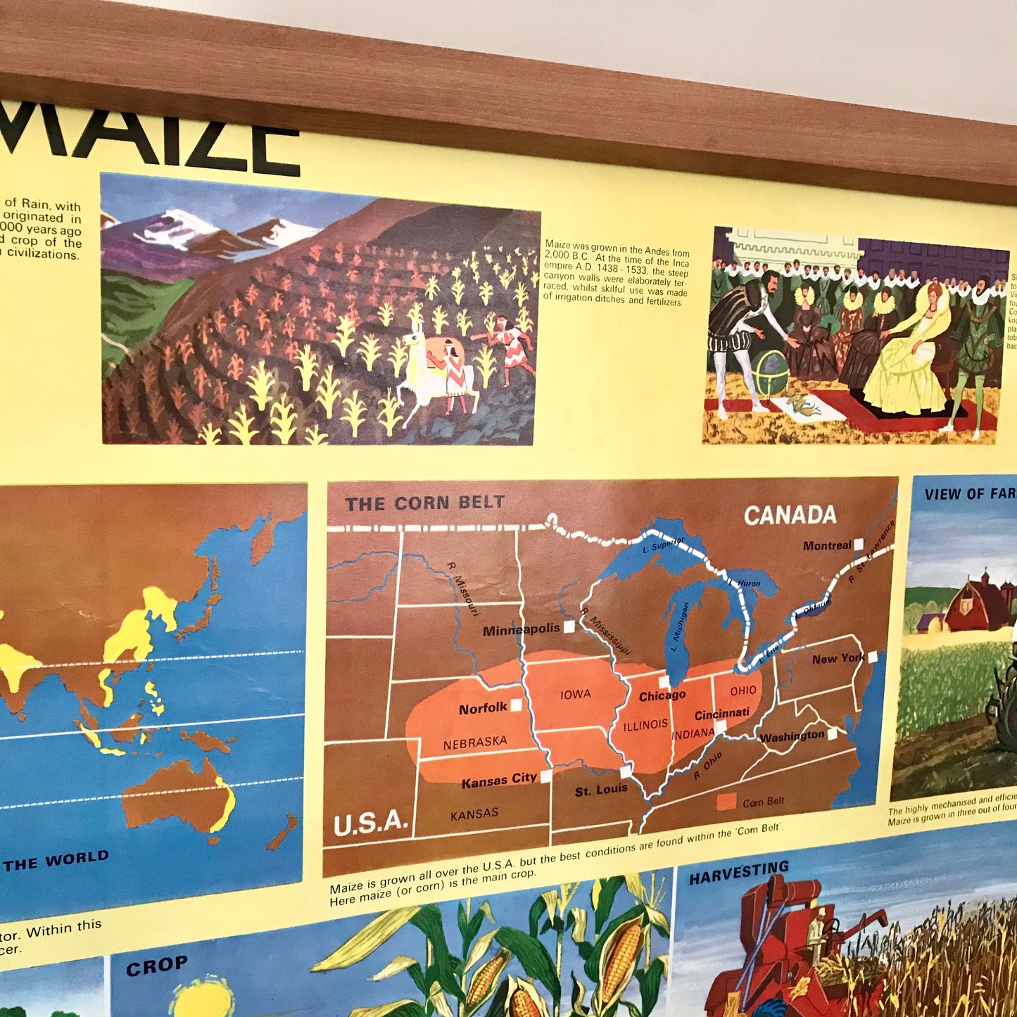 Vintage educational posters: The Story of Maize