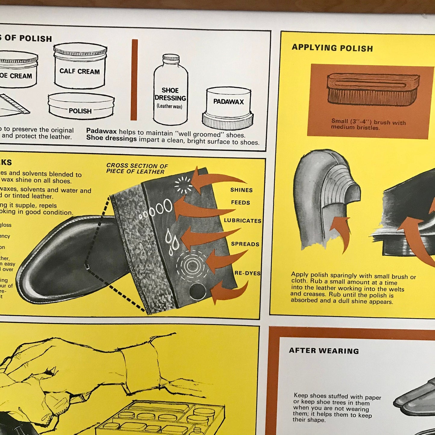 Vintage educational poster: Care of Shoes