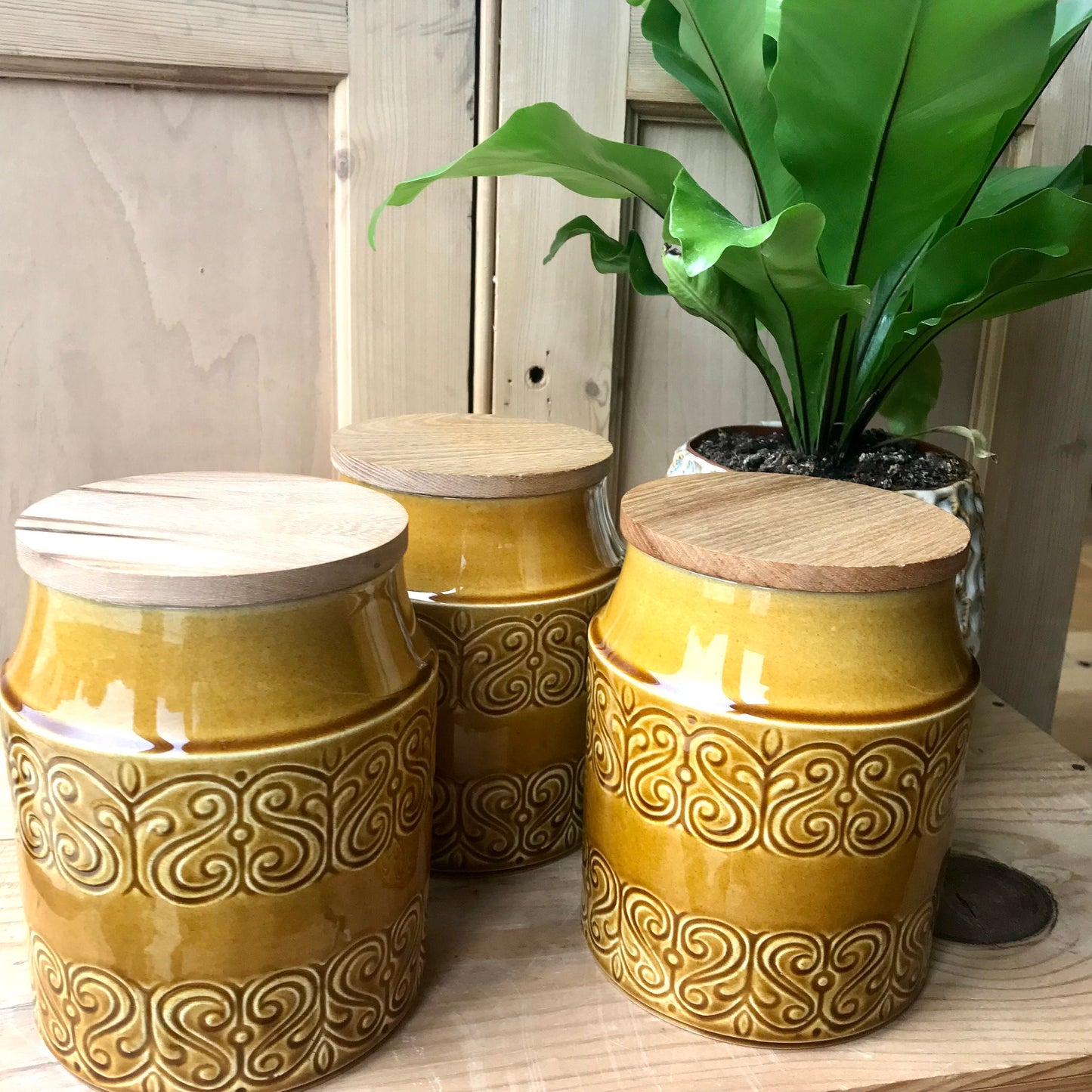Shannon Pottery storage jars